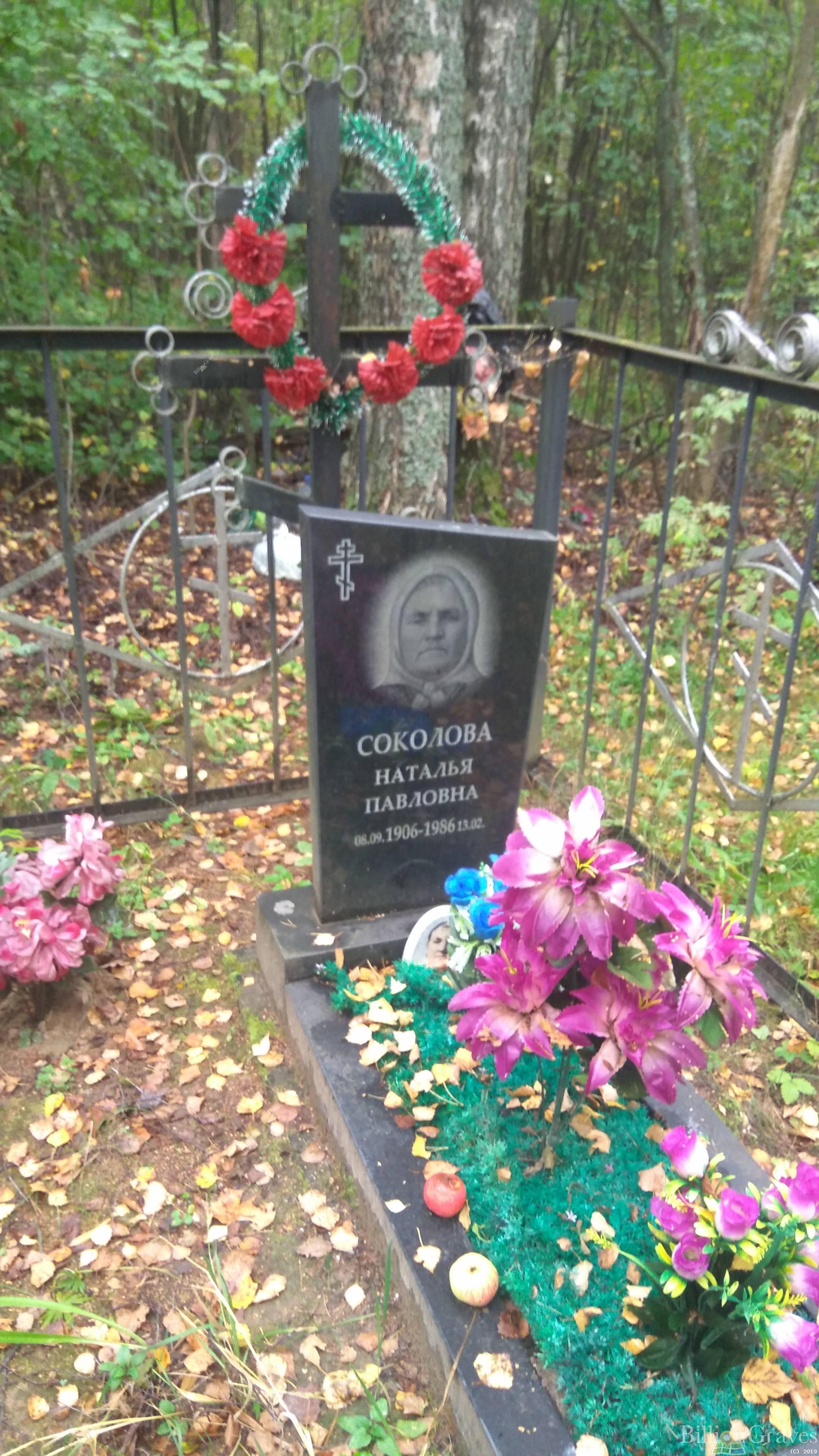Соколова Наталья Павловна