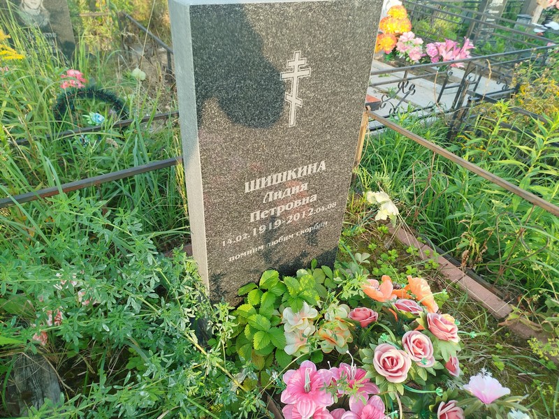 Шишкина