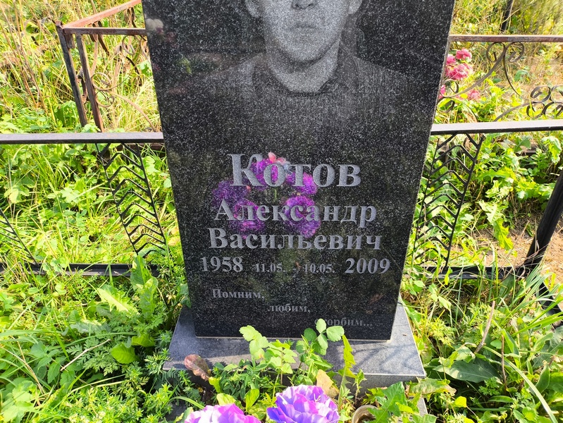 Котов