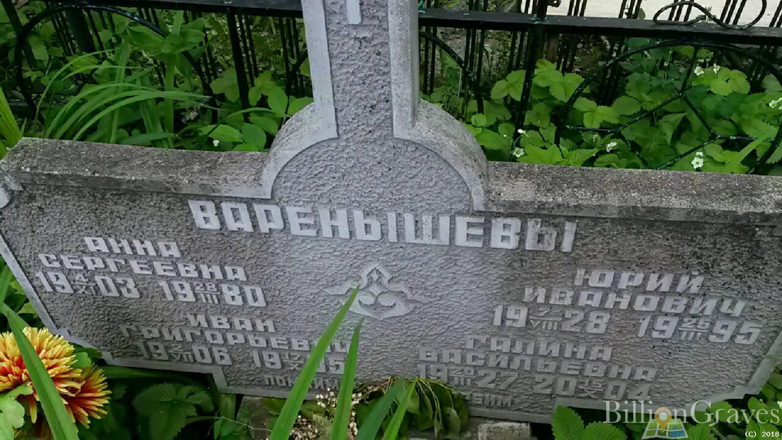 Варенышева Анна Сергеевна