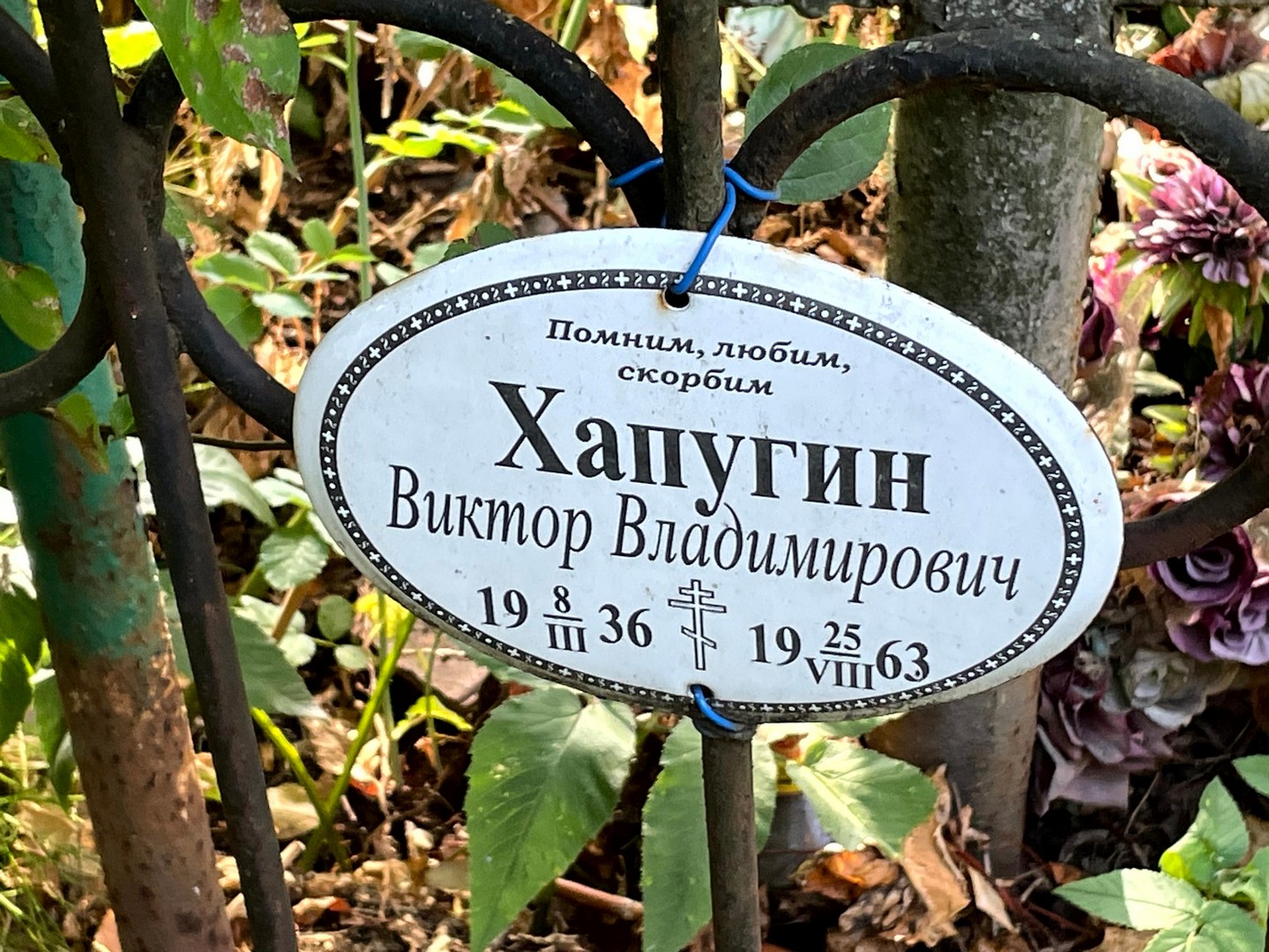Хапугин