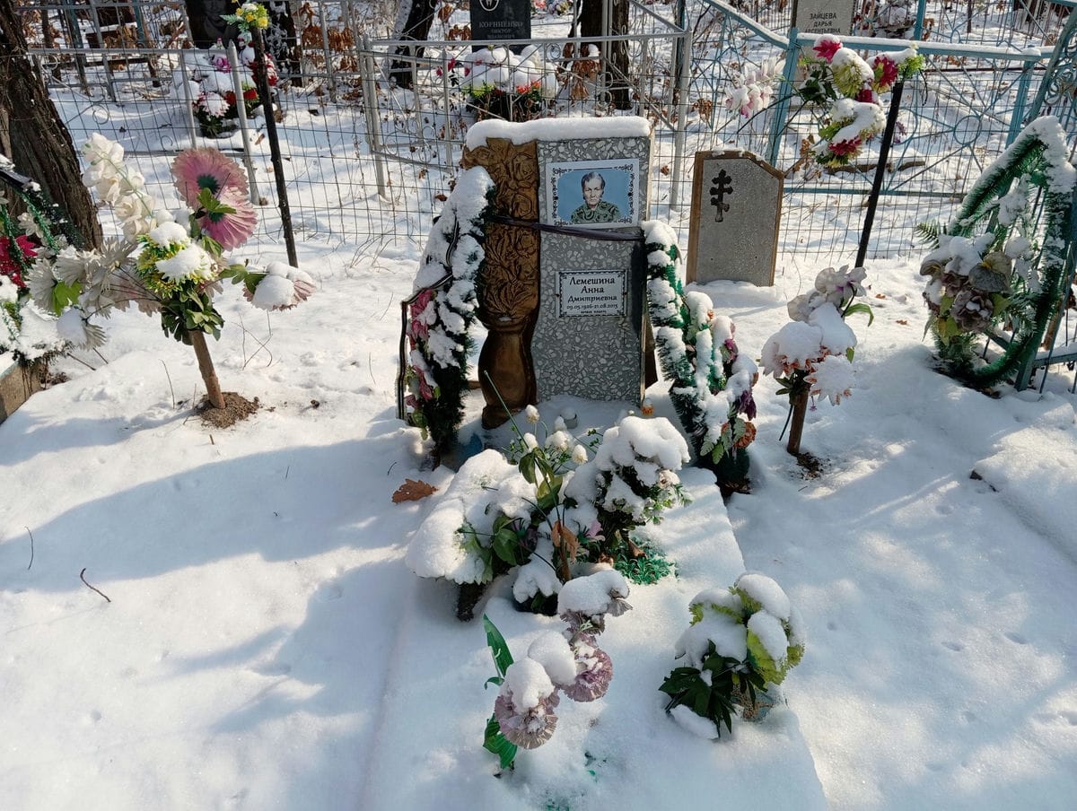 Лемешина Анна Дмитриевна