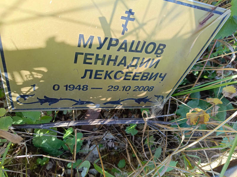 Мурашов