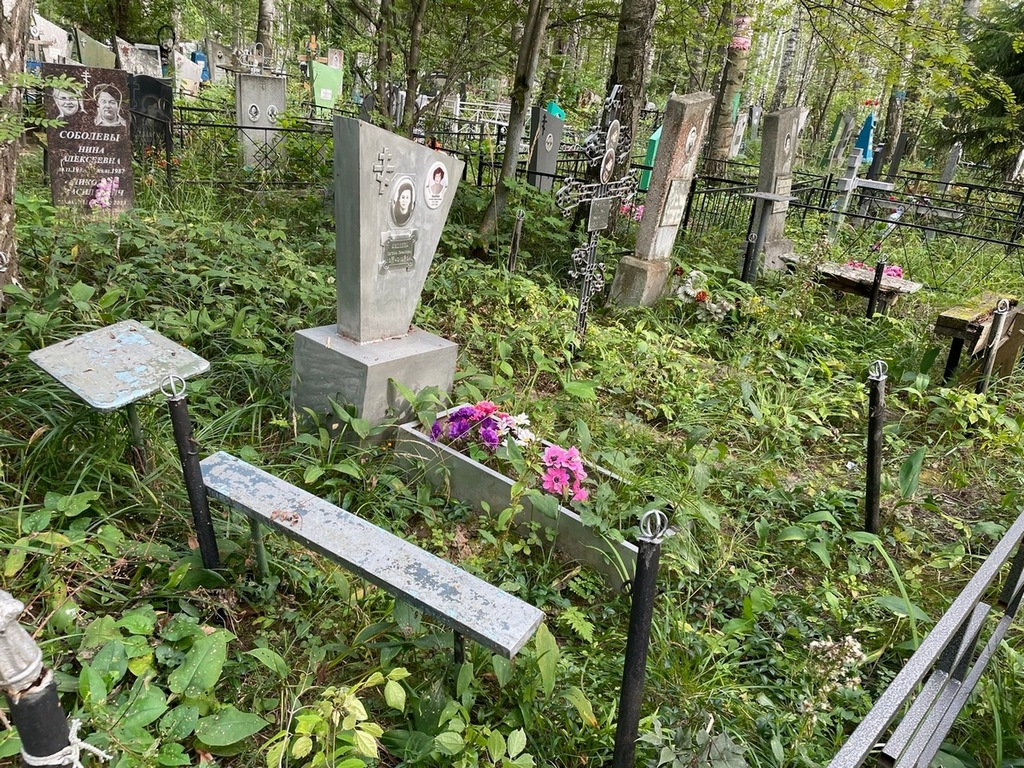 Авдеева Евгения Кирилловна