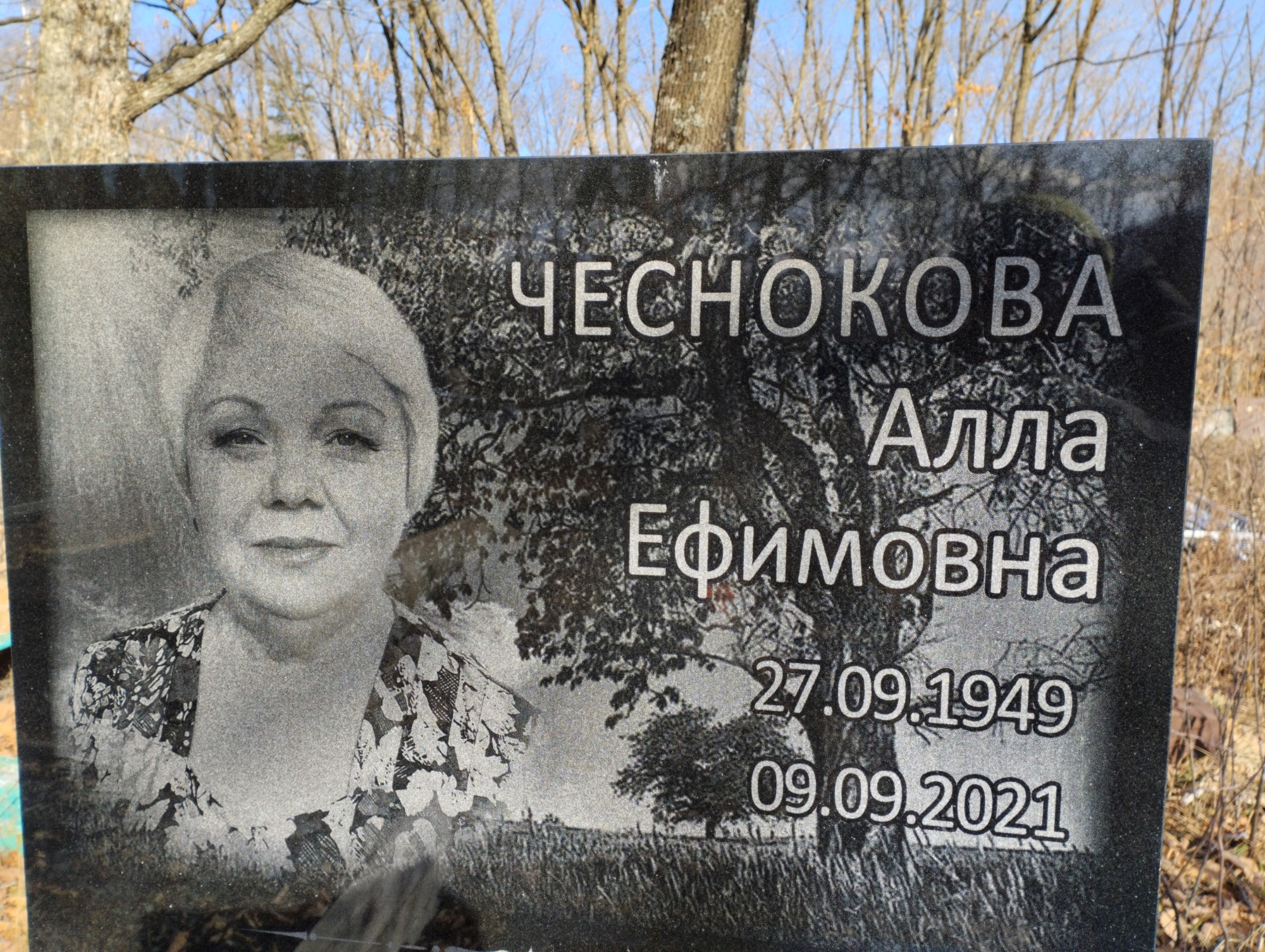 Чеснокова Алла Ефимовна