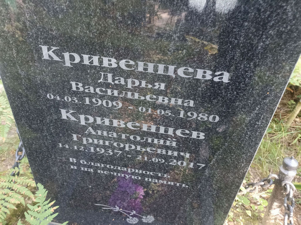 Кривенцева Дарья Васильевна