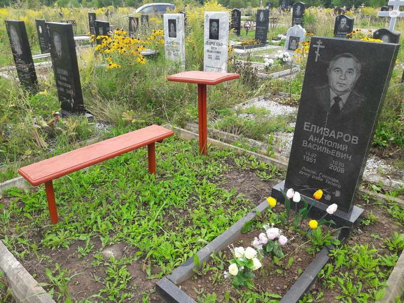 Елизаров Анатолий Васильевич