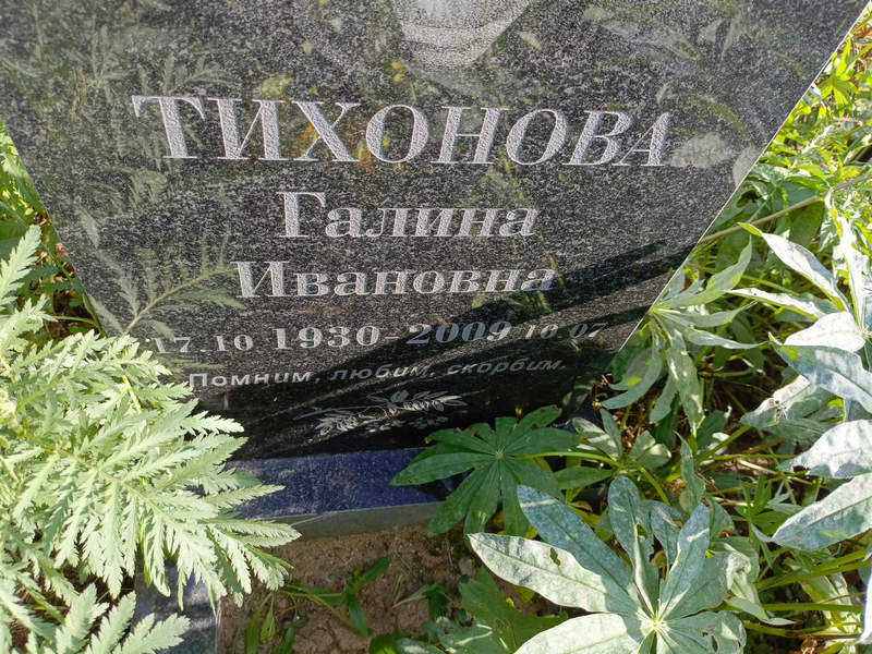 Тихонова