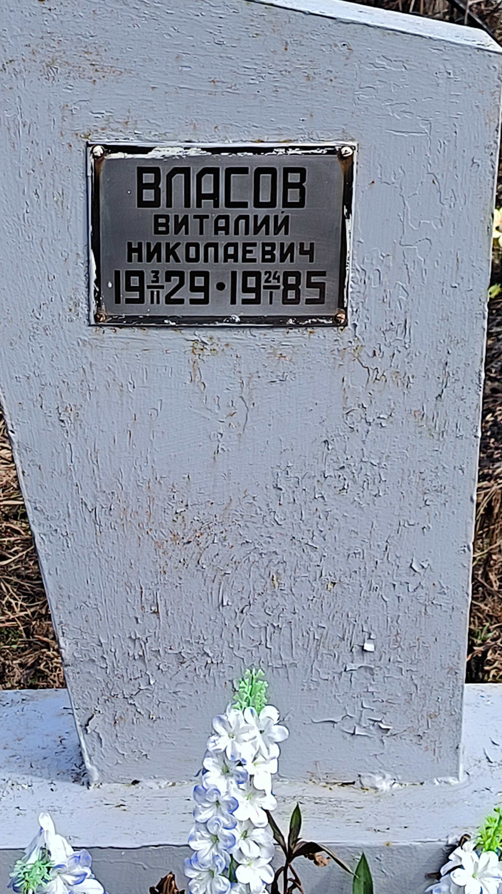Власов Виталий Николаевич
