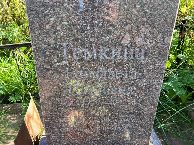 Темкина