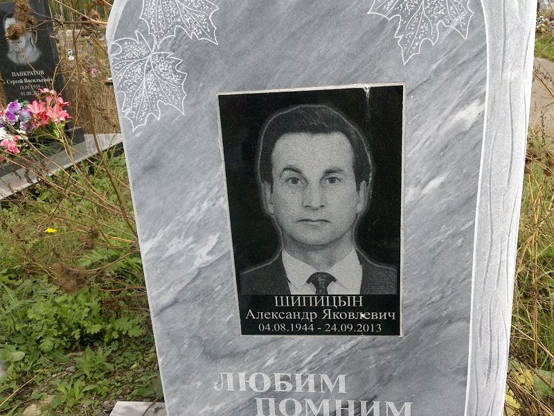 Шипицын