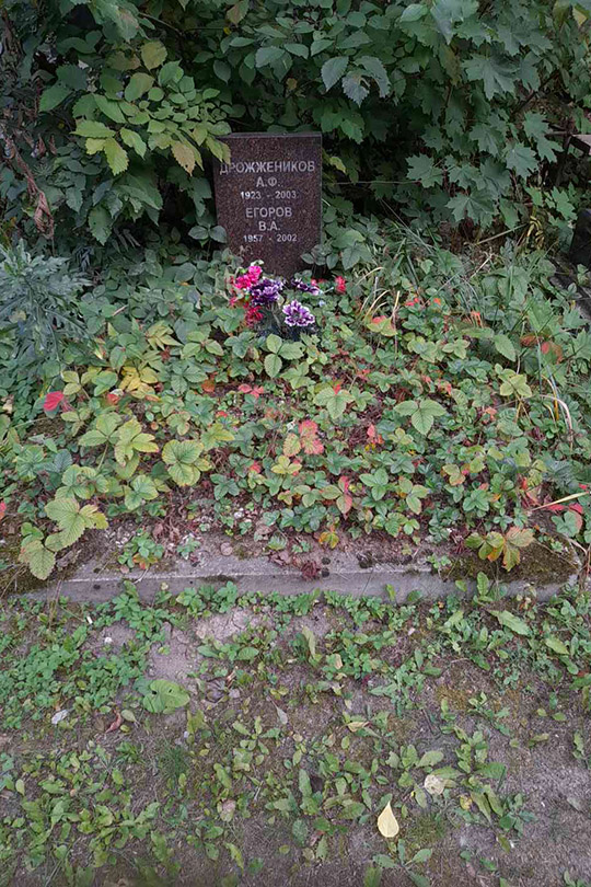 Егоров В. А.