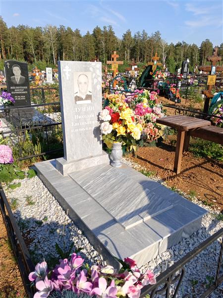 Лузгин Николай Евгеньевич