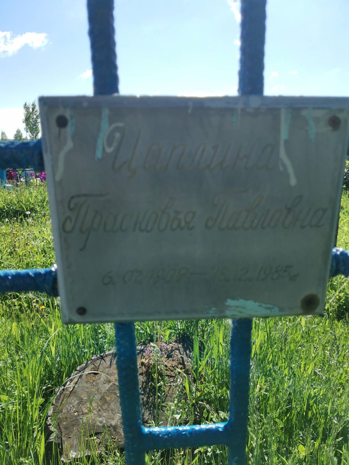 Цаплина Прасковья Павловна
