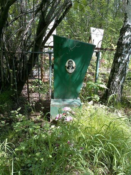 Нежданова Елена Васильевна