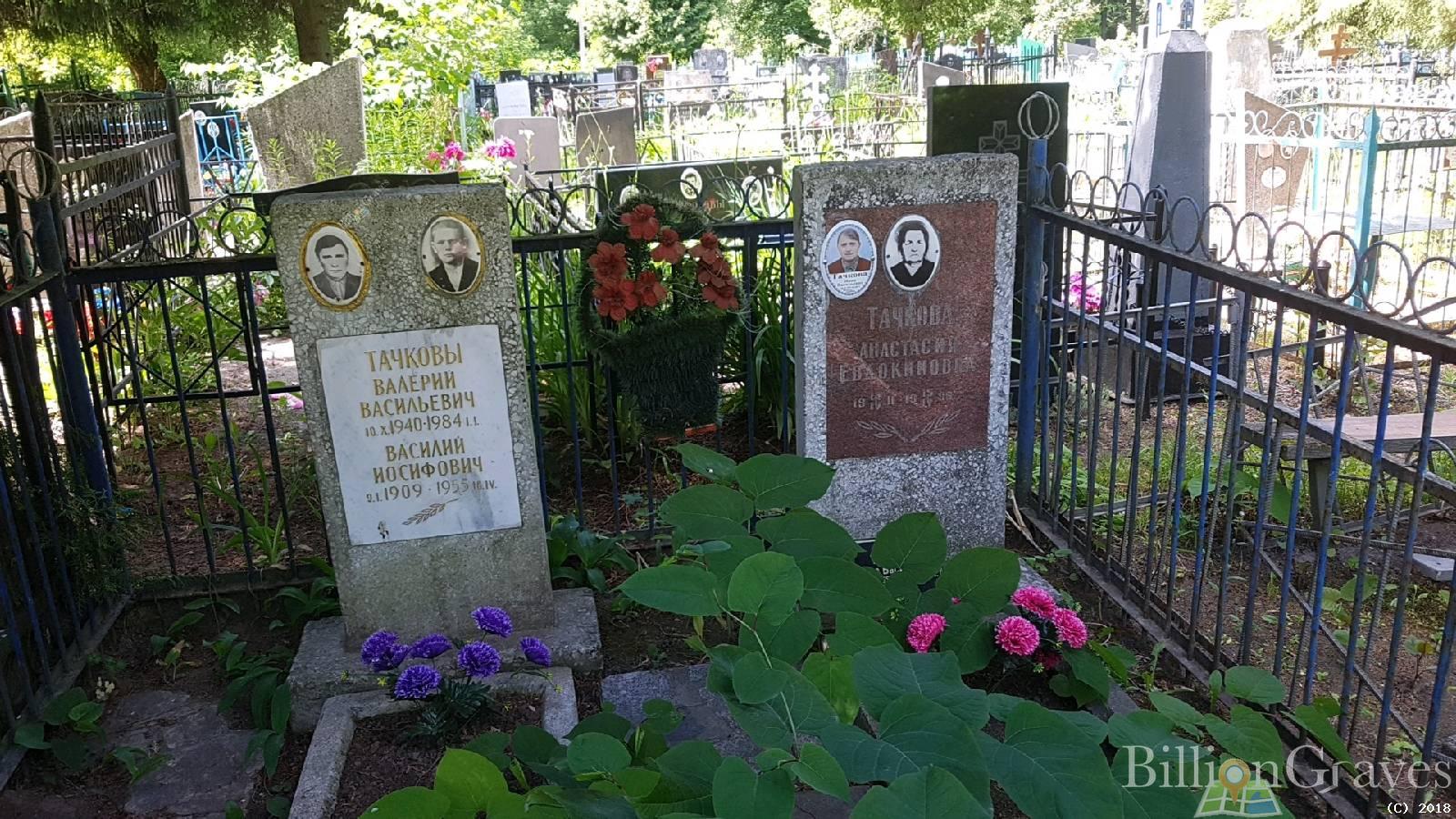 Тачкова Анастасия Евдокимовна
