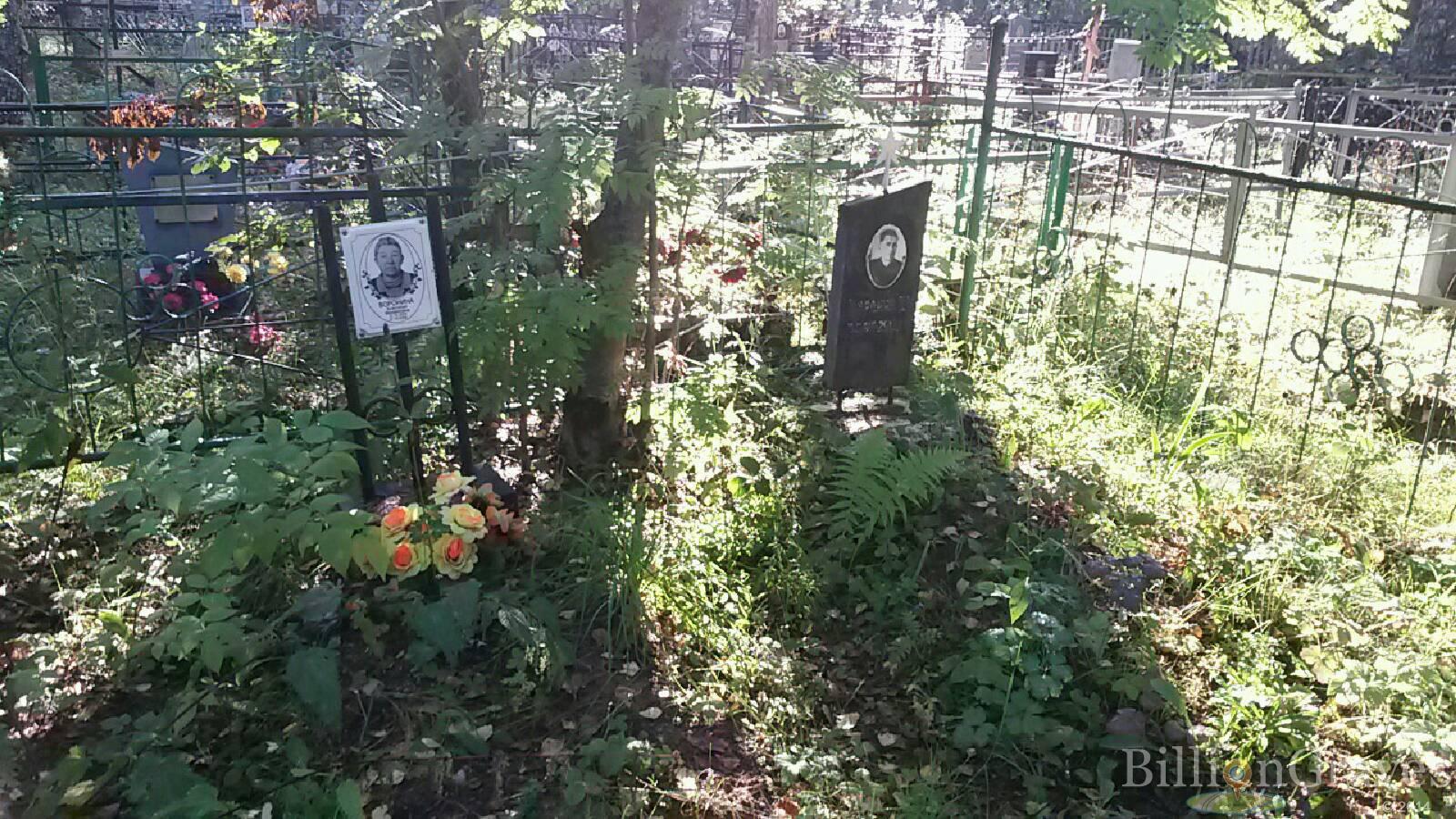 Воронина Анастасия Михайловна