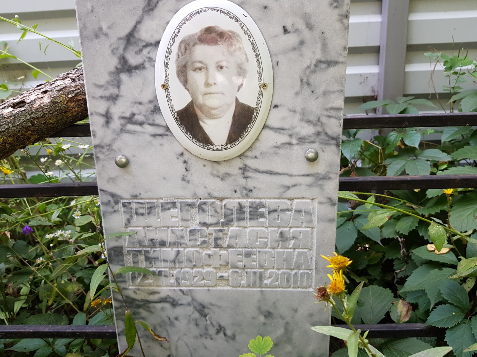 Щёголева Анастасия Тимофеевна