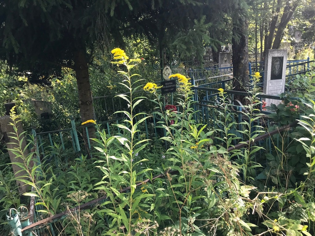 Богданова Татьяна Михайловна