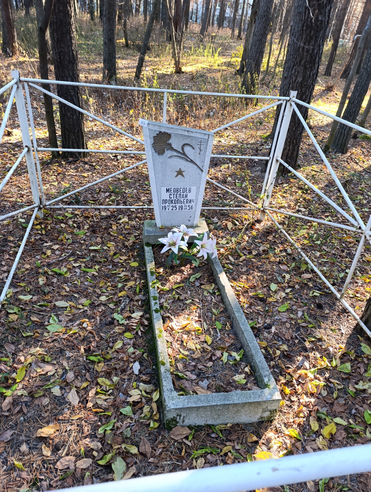 Медведев Степан Прокофьевич
