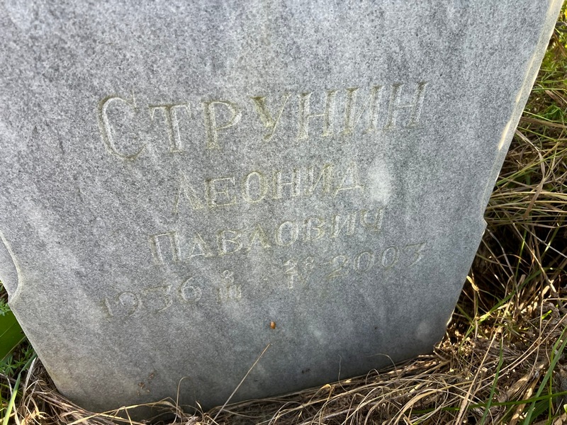 Струнин