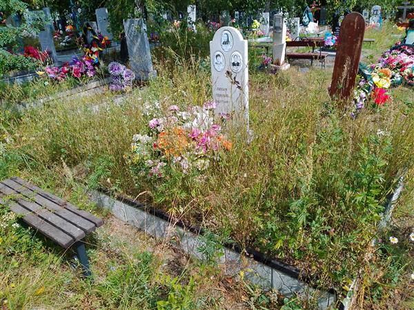 Галямшина Лариса Григорьевна