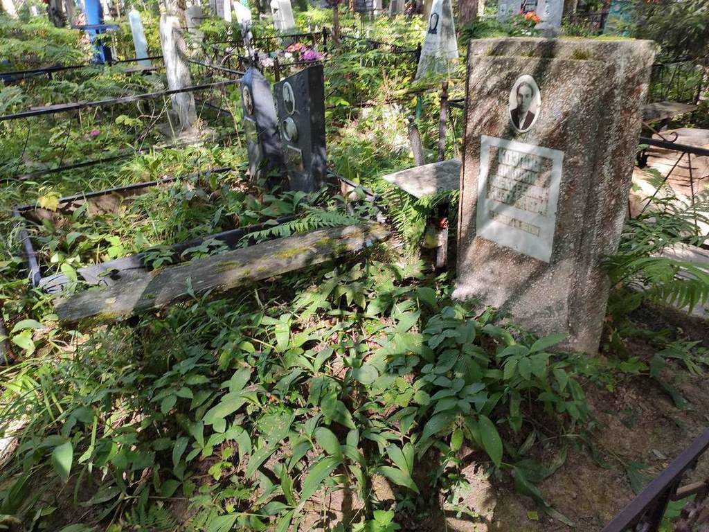 Козлов Николай Алексеевич