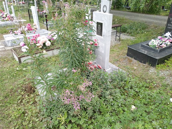 Боровикова Елена Аркадьевна