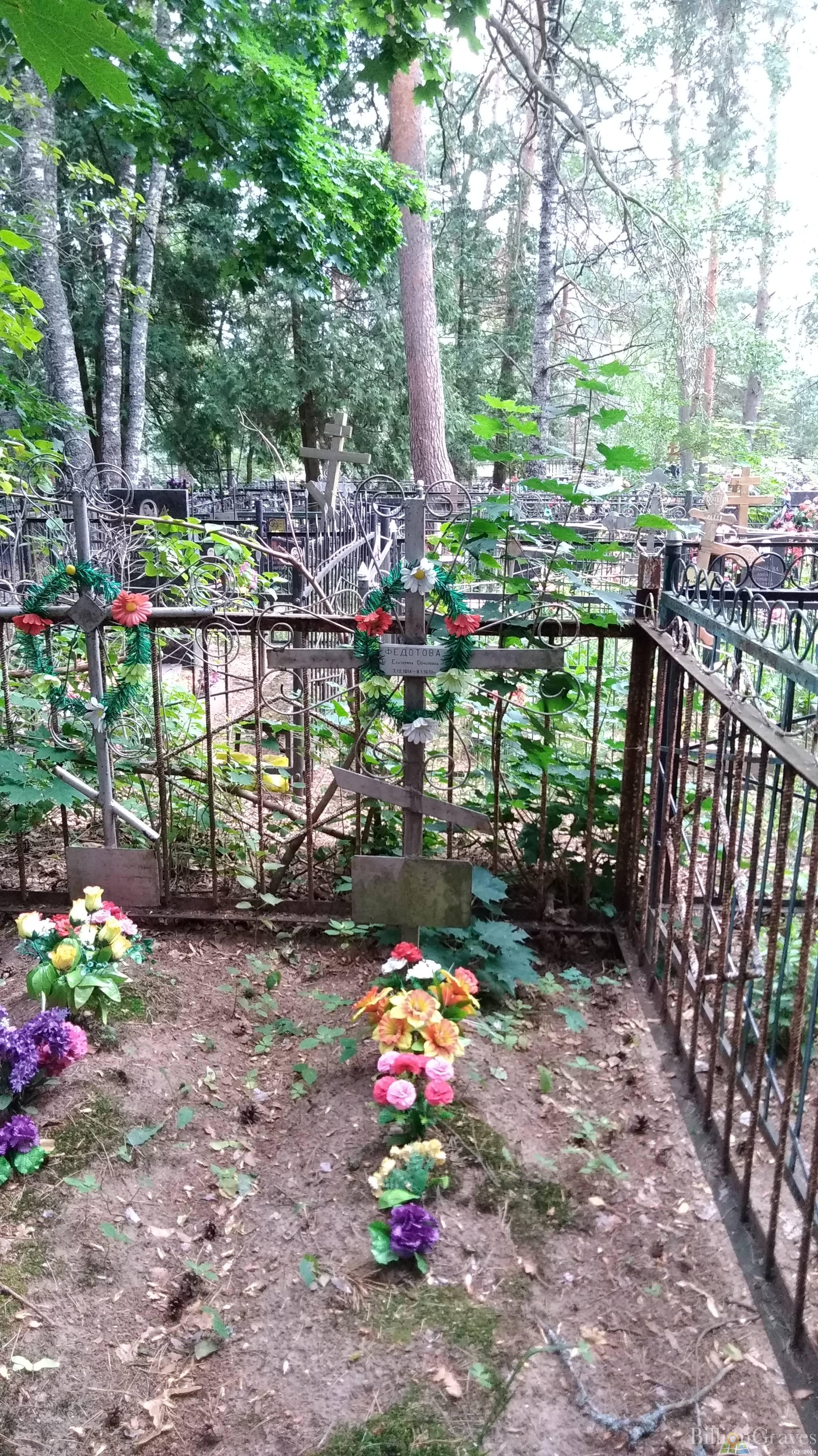 Федотова Екатерина Семеновна
