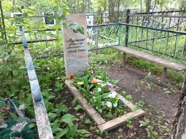 Воронин Александр Васильевич
