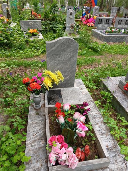 Некрасова Агния Федоровна