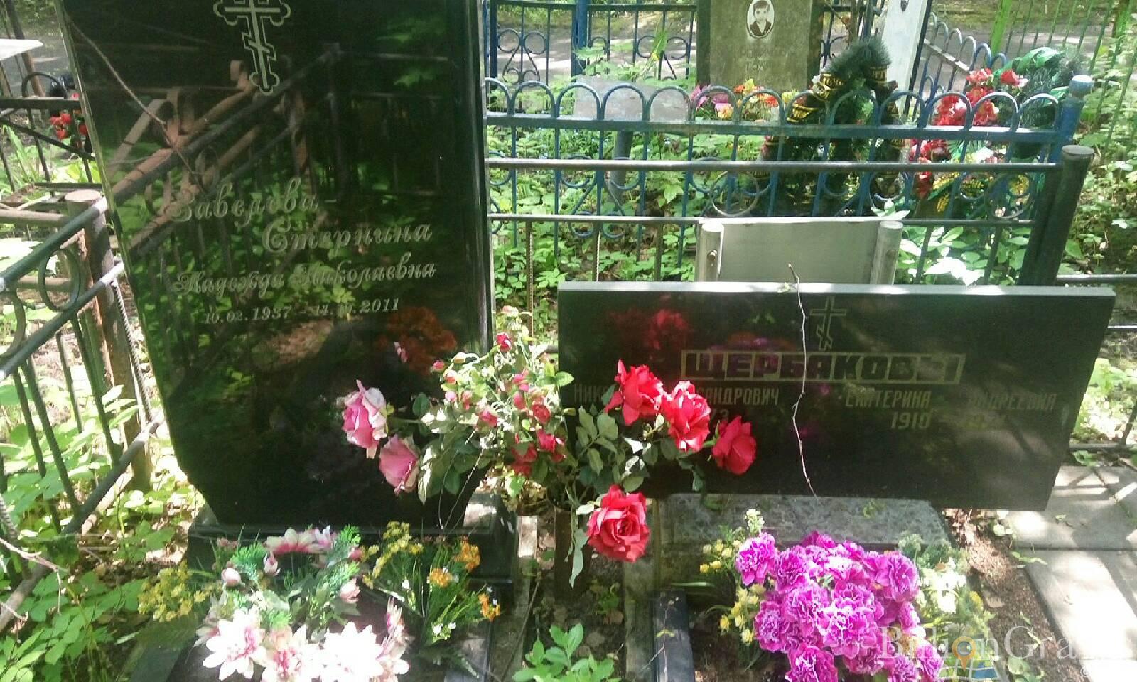 Завелева-Стернина Надежда Николаевна