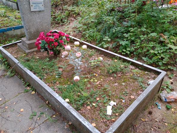 Солоницина Анна Андреевна