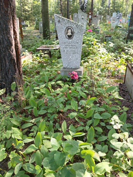 Петелина Ираида Ивановна