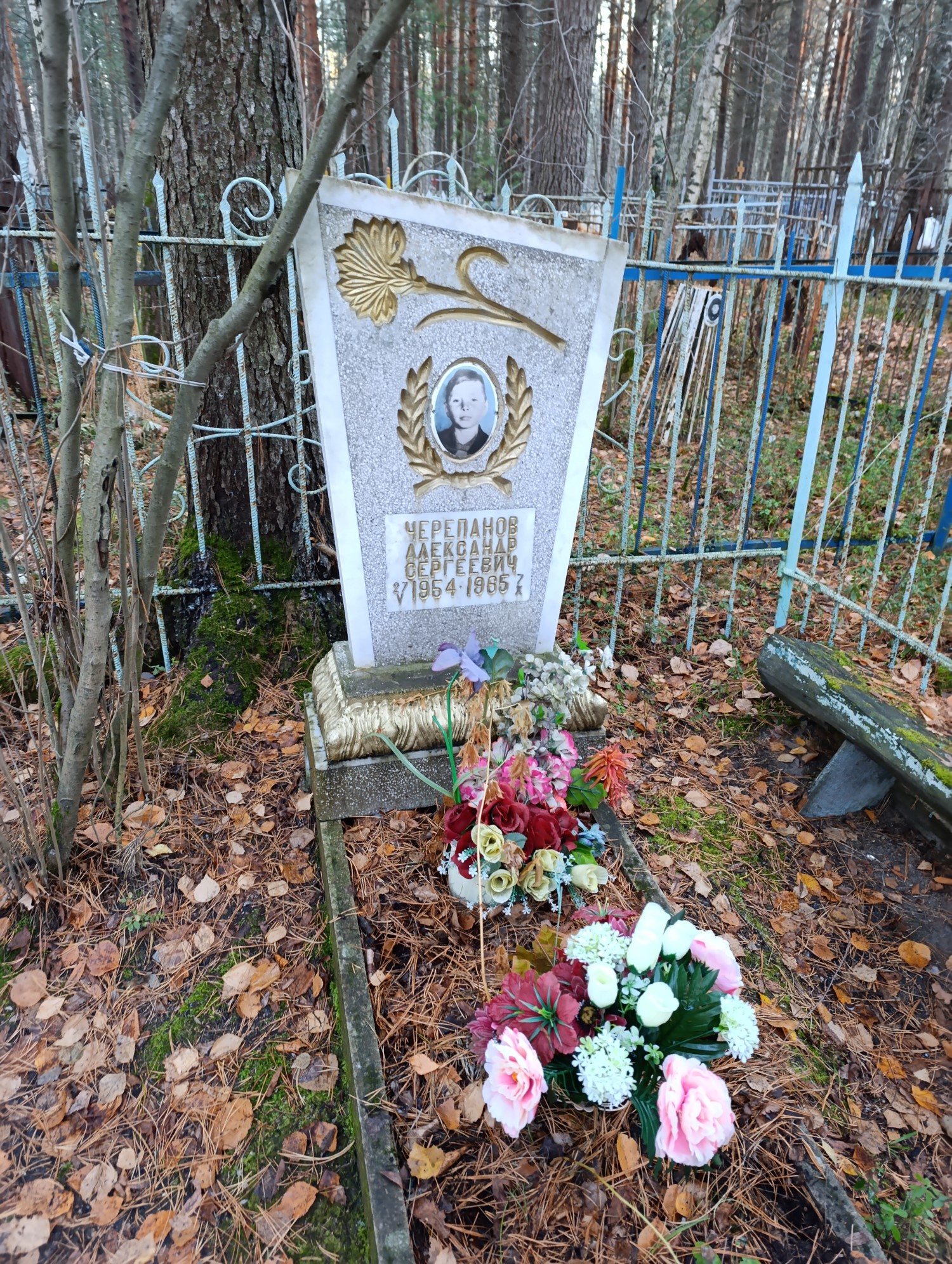 Черепанов Александр Сергеевич