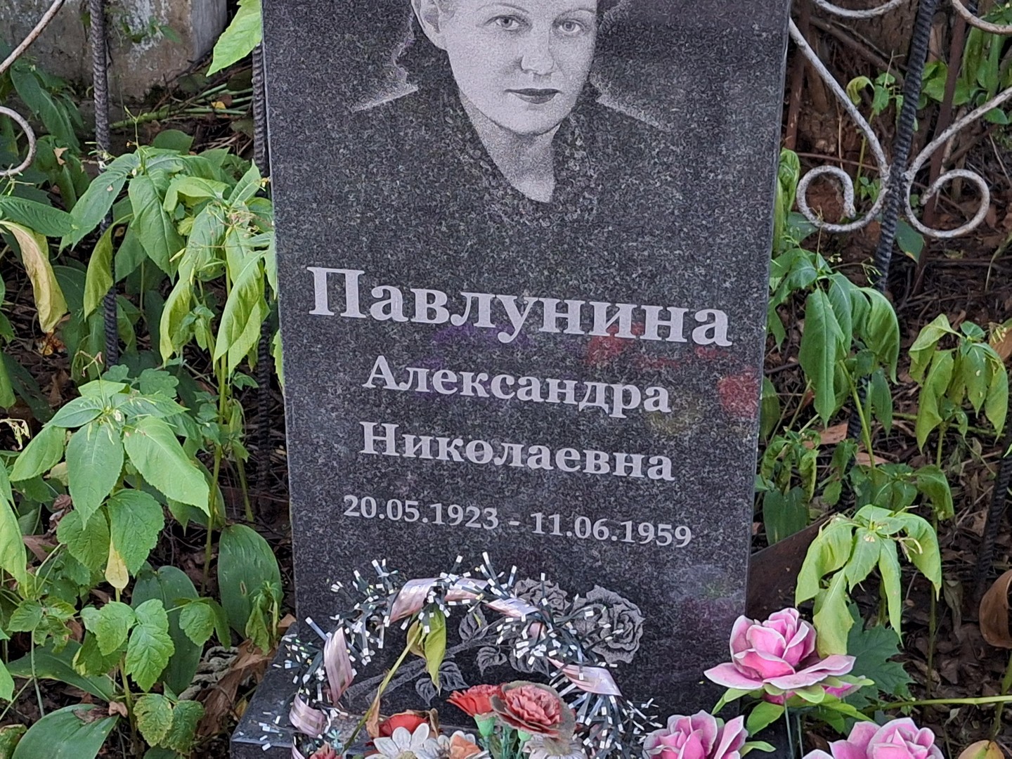 Павлунина Александра Николаевна
