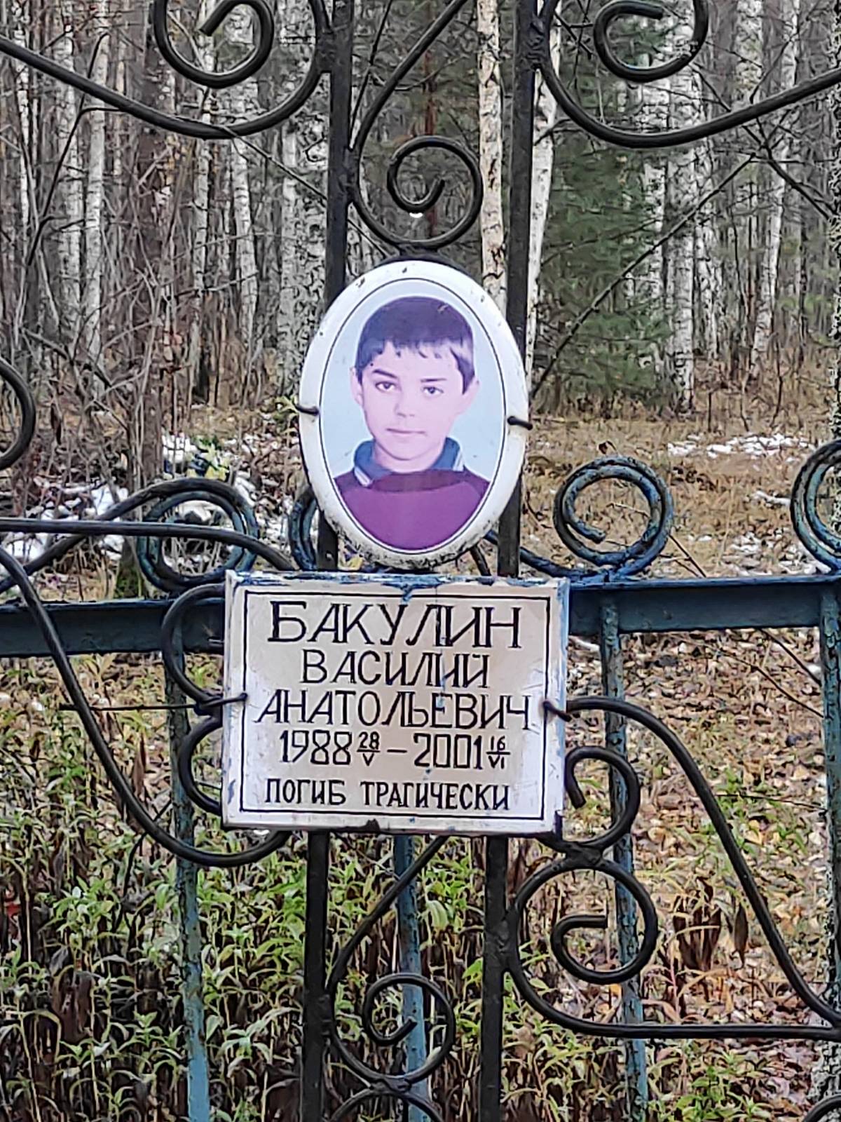Бакулин Василий Анатольевич