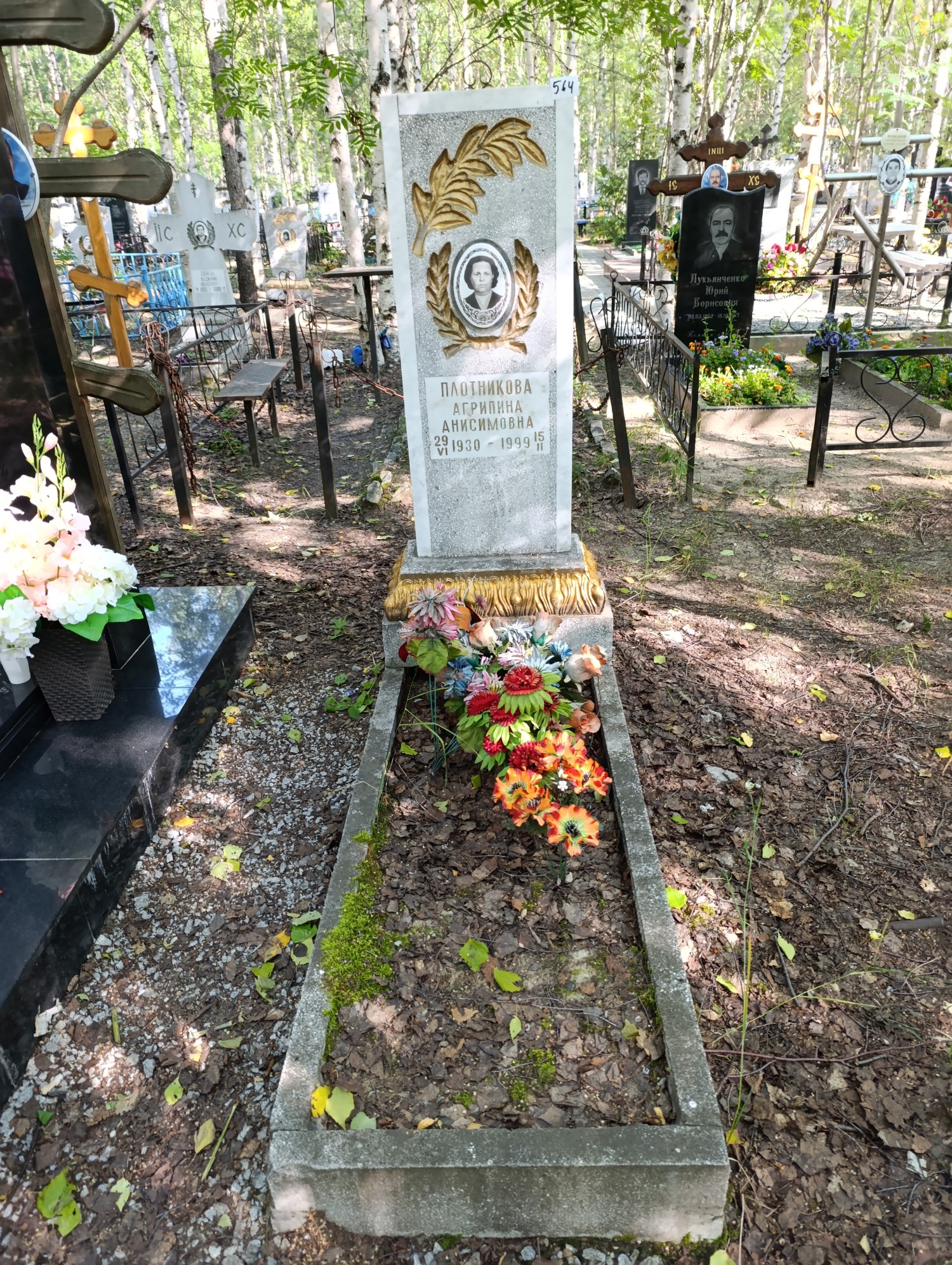 Плотникова Агрипина Анисимовна
