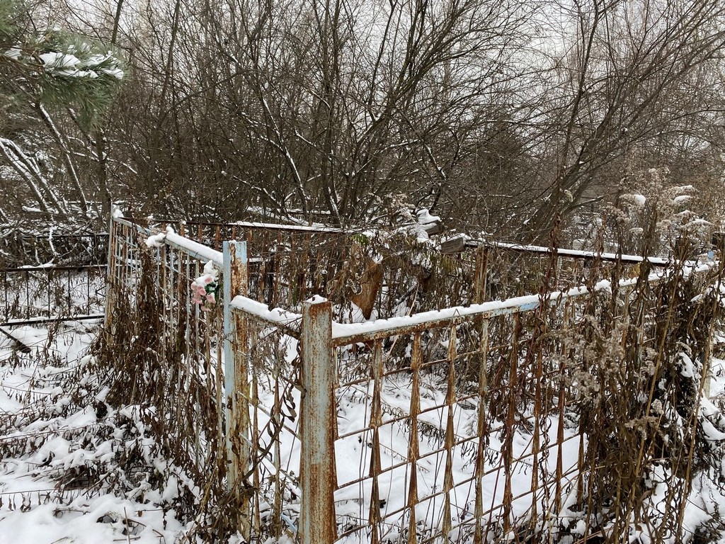Князева Мария Александровна