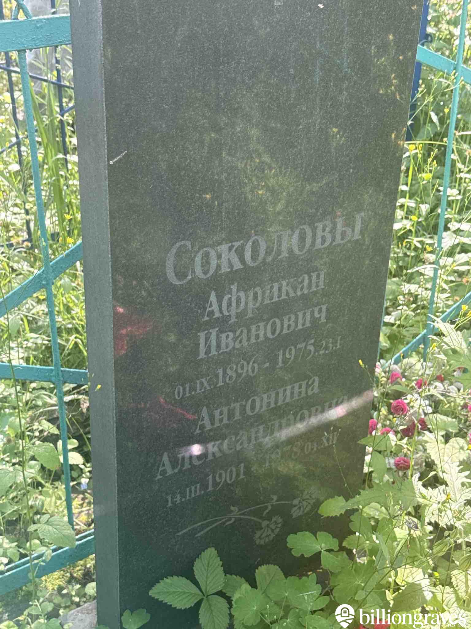 Соколов Африкан Иванович
