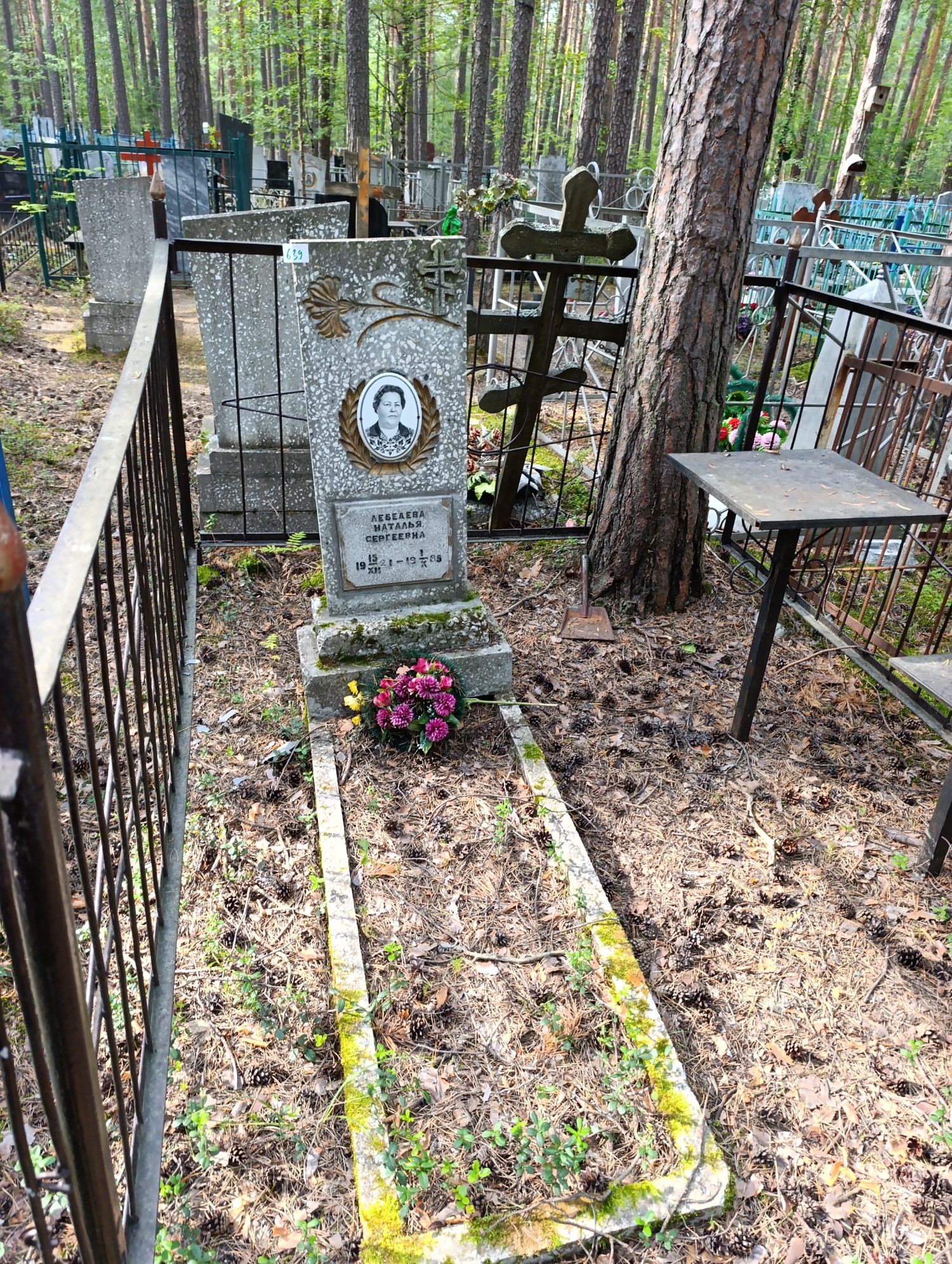 Лебедева Наталья Сергеевна