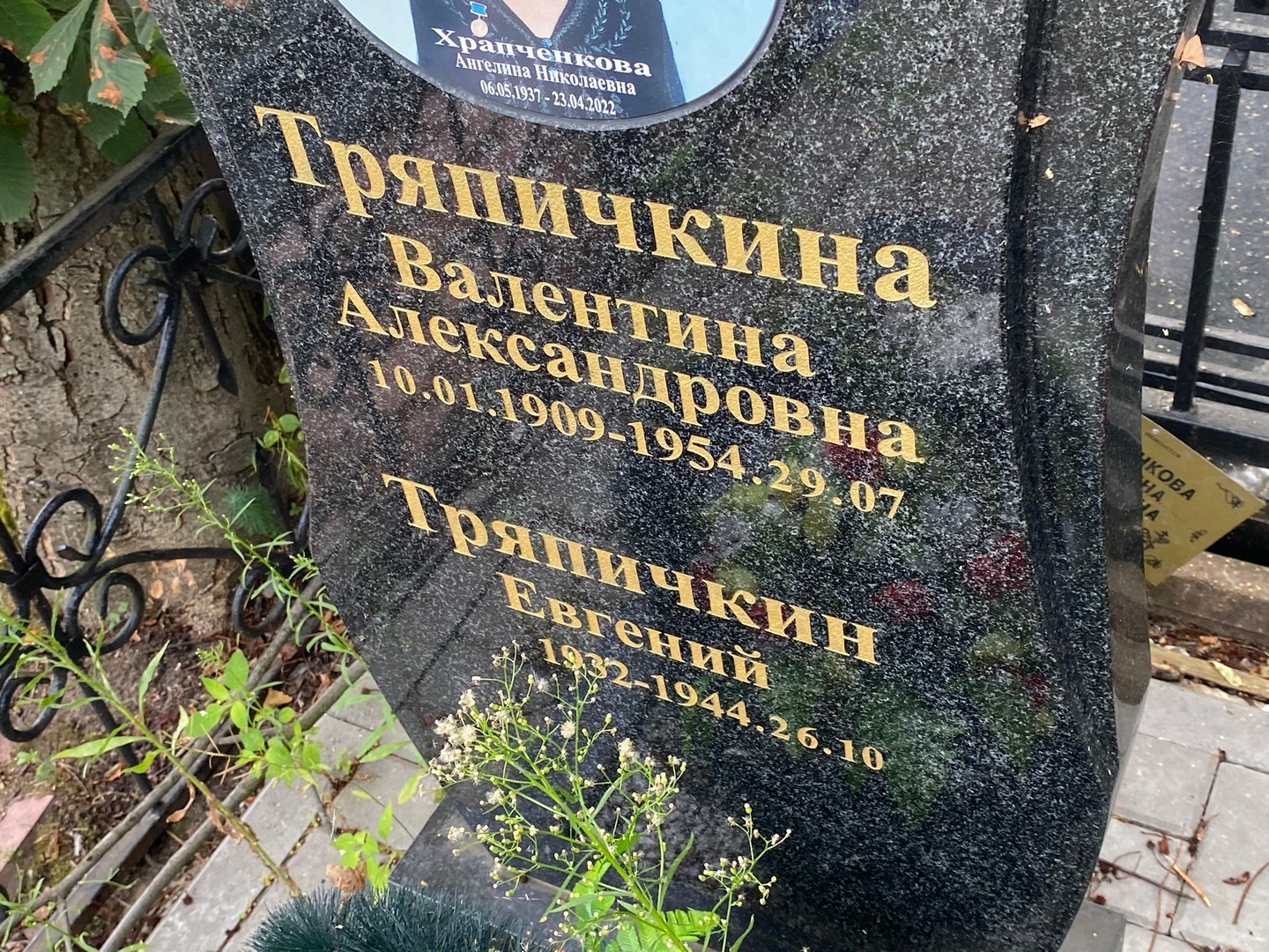 Тряпичкина