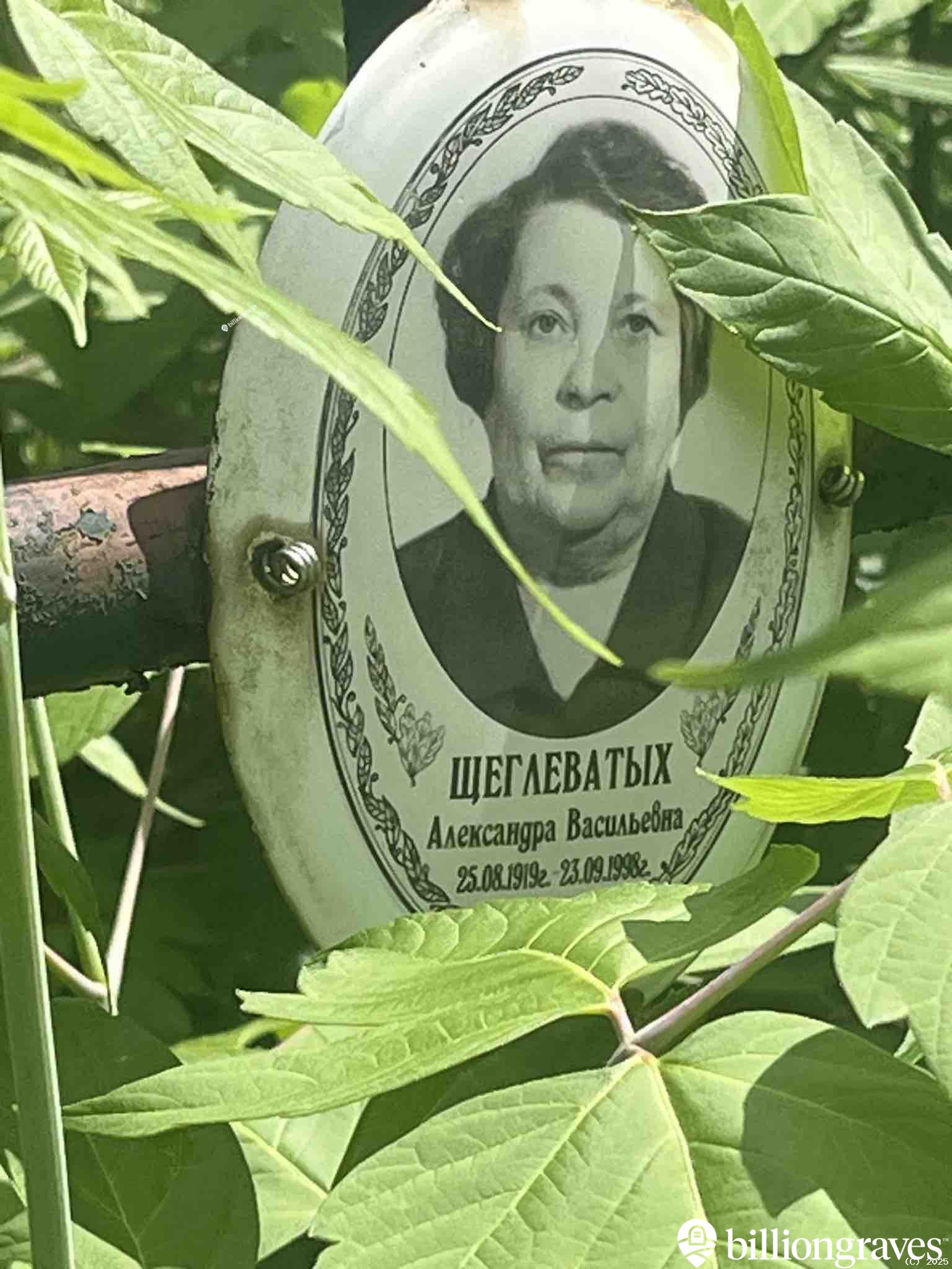 Щеглеватых Александра Васильевна