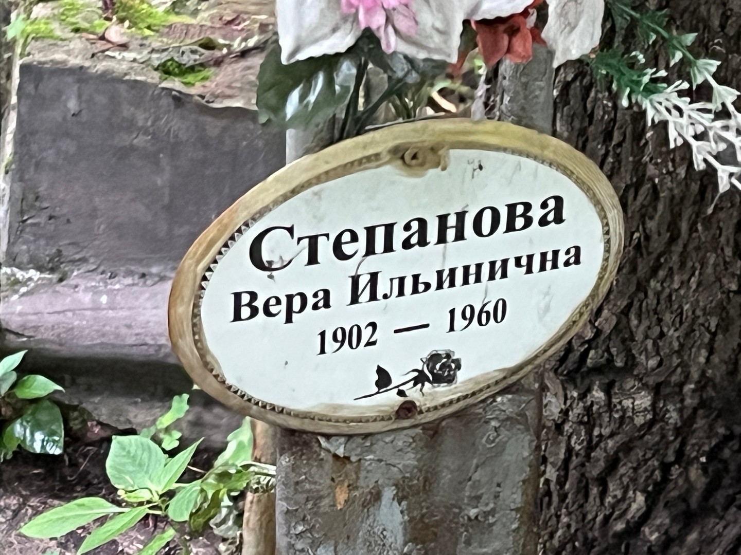 Степанова