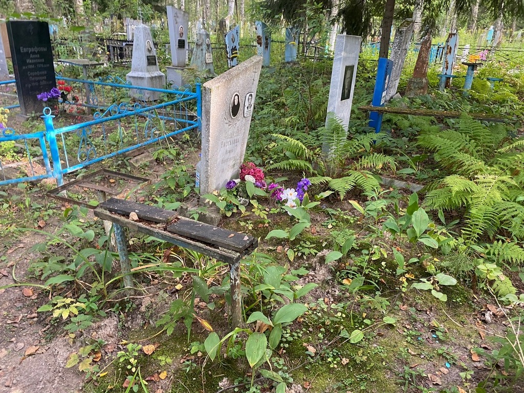 Визгалова Ирина Никитична