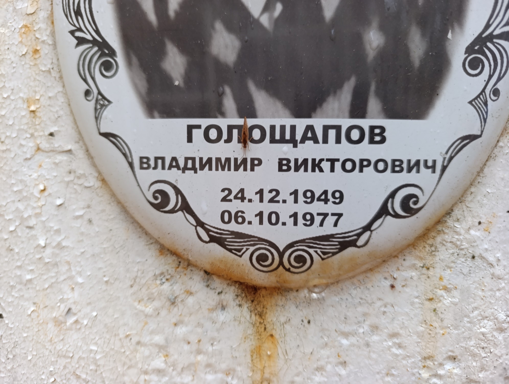 Голощапов Владимир Викторович