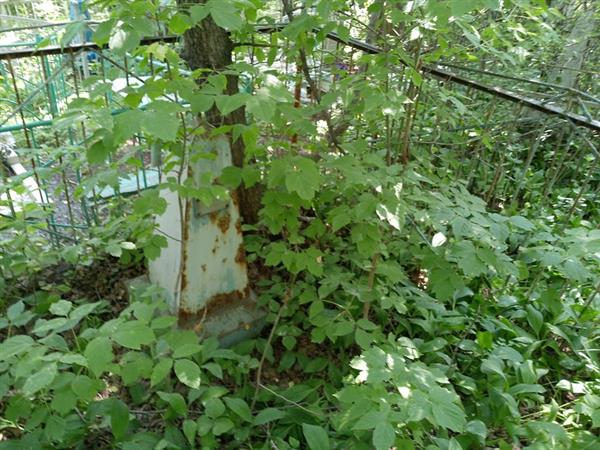Кушнарева Анастасия Герасимовна