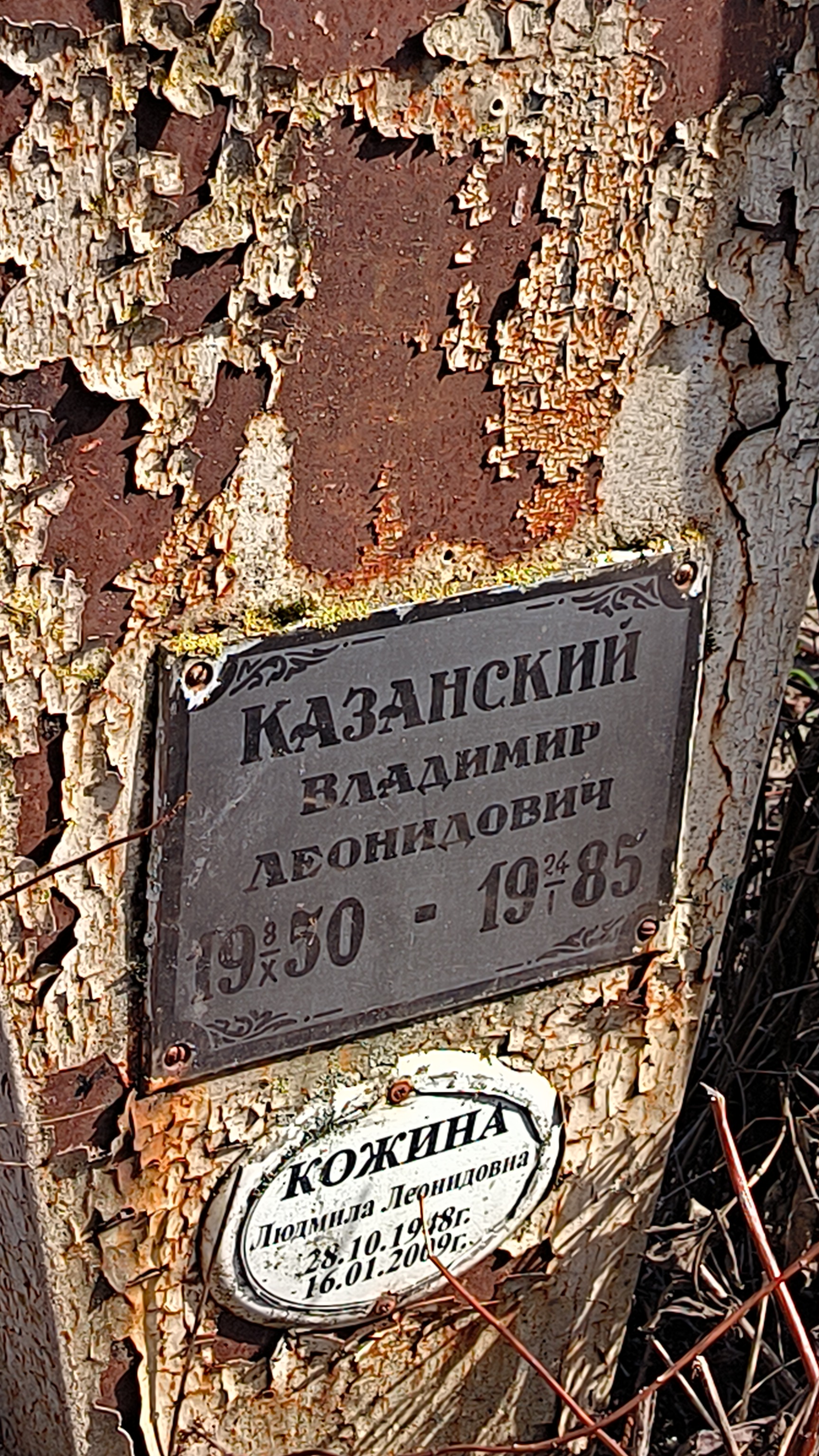 Кожина Людмила Леонидовна