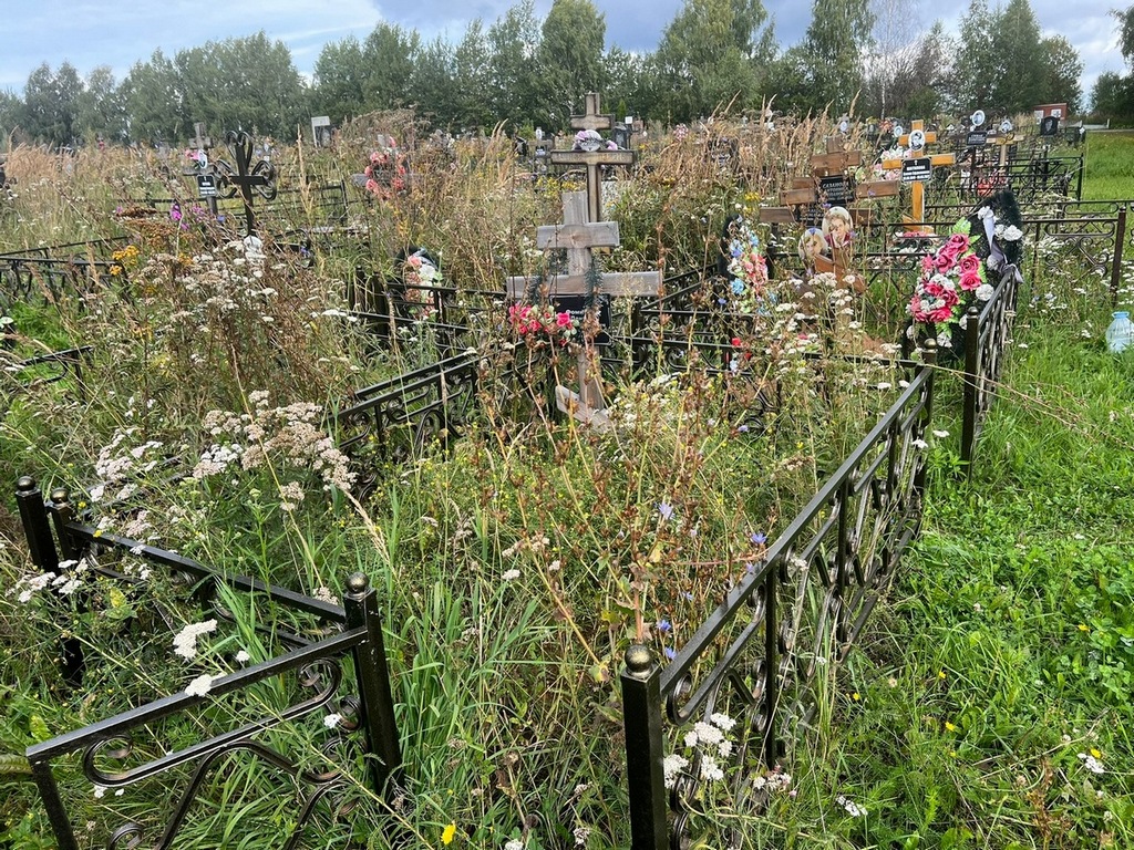 Фомичев Денис Владимирович