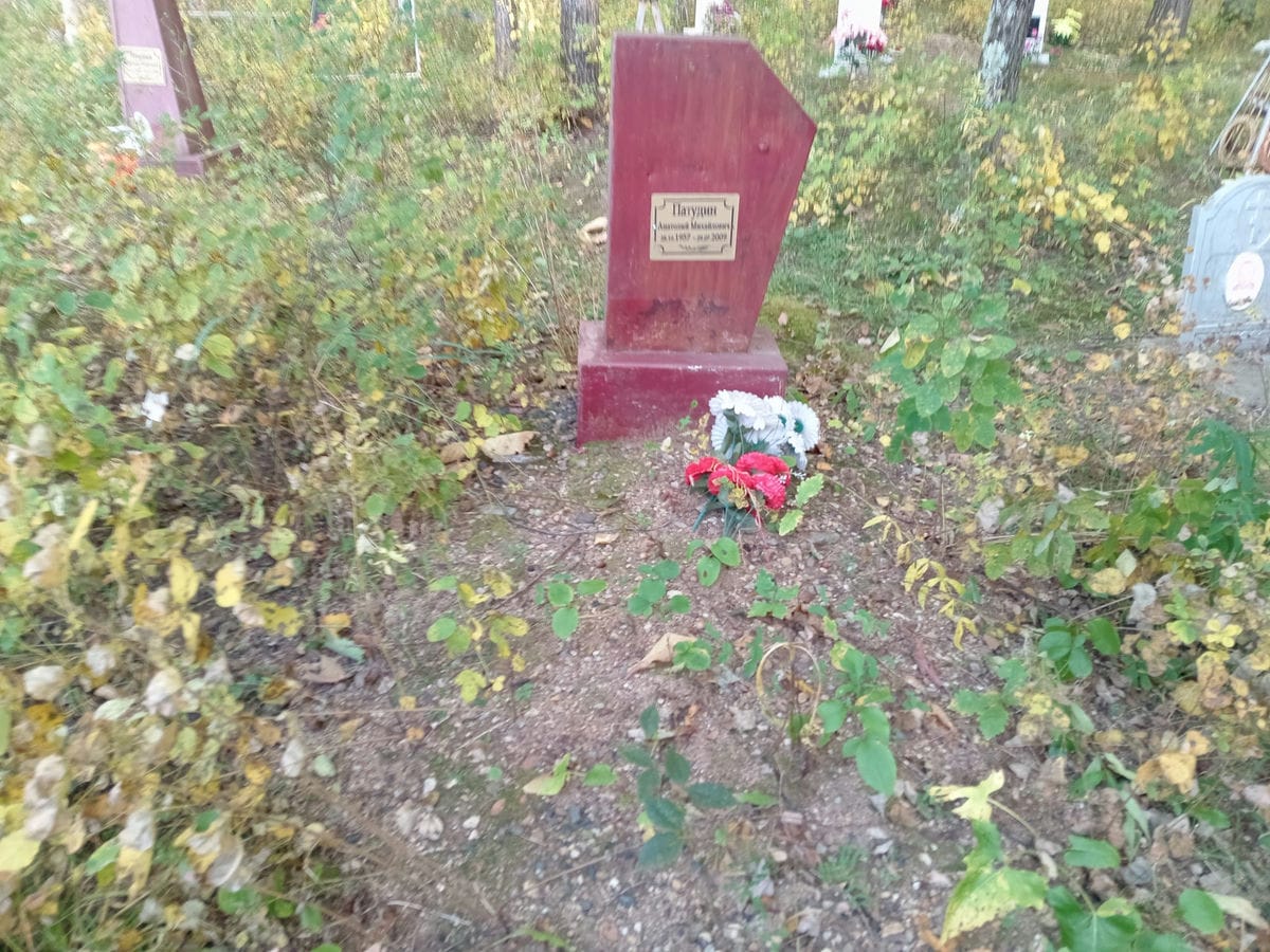 Патудин Анатолий Михайлович